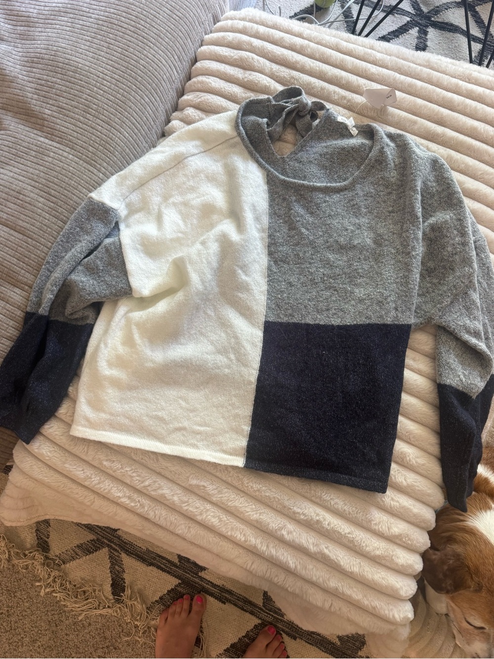 Blu Pepper Colorblock Crew Sweater